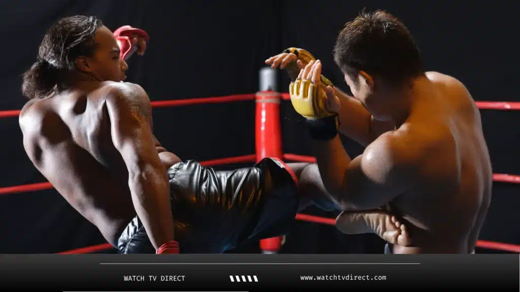 Watch UFC, boxing, and WWE pay-per-view events online